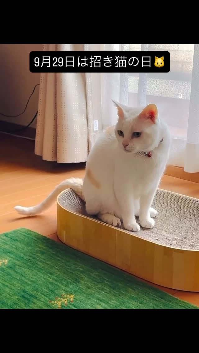 呼んだ？