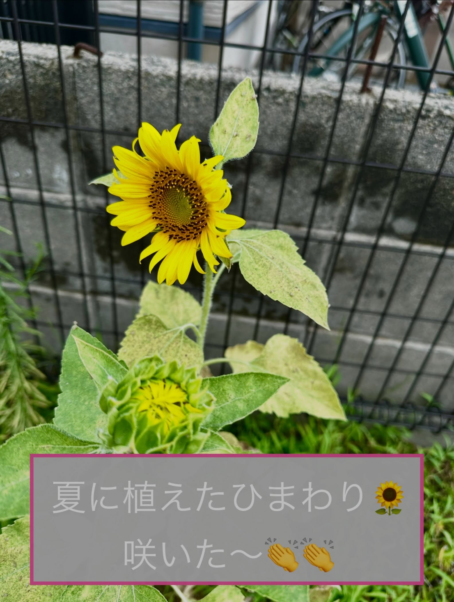 リラックスタイム、始めませんか？✨